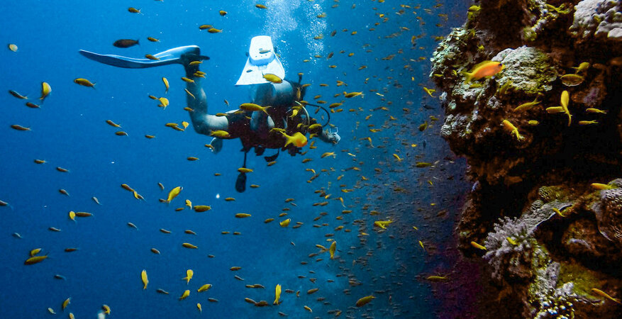 Шарм-Эль-Шейх_11